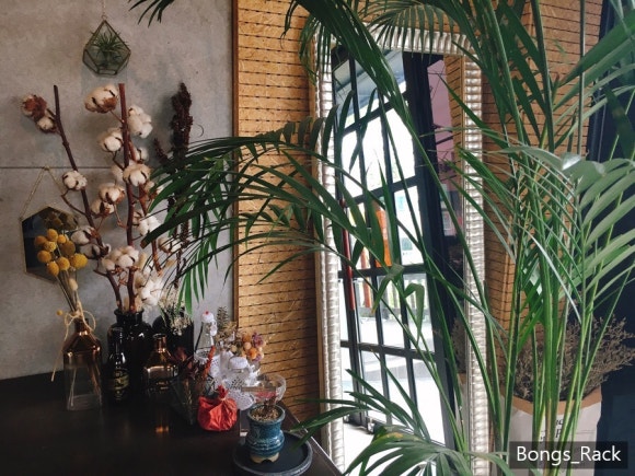 조은 cafe 이미지