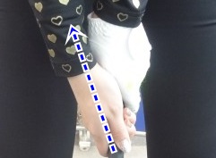 골프신지환 이미지