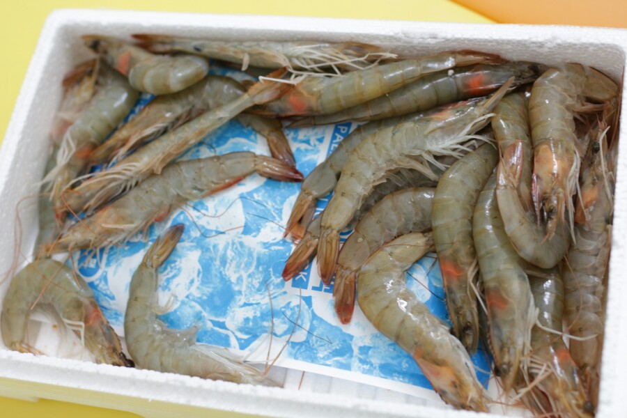 (주)식탁이있는삶 이미지