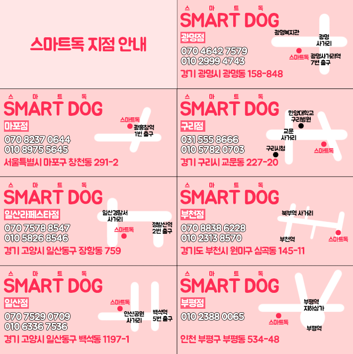스마트독 이미지