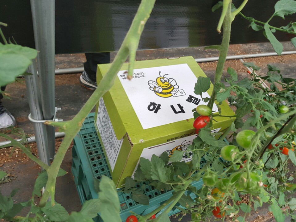 사천농원 이미지