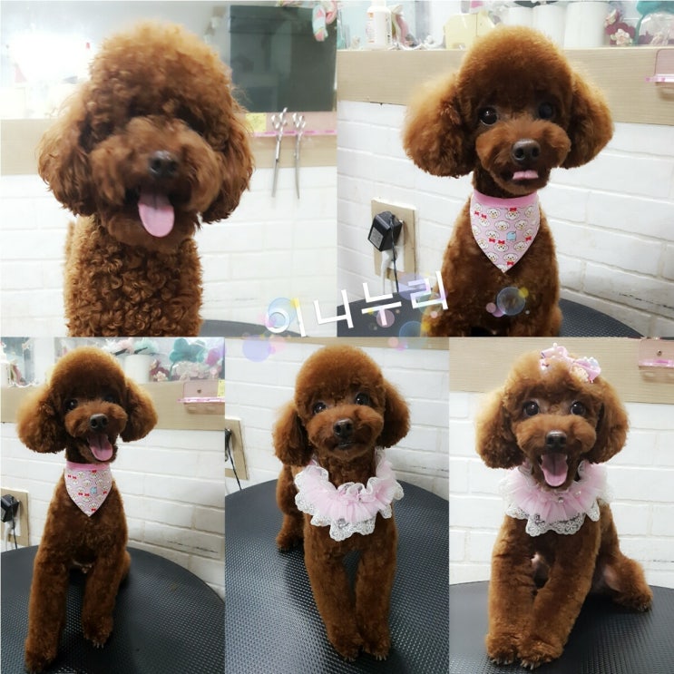 유키미용학원 이미지