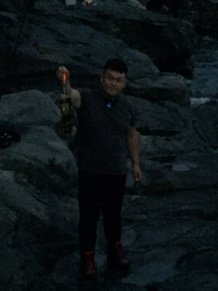 부산오징어 이미지