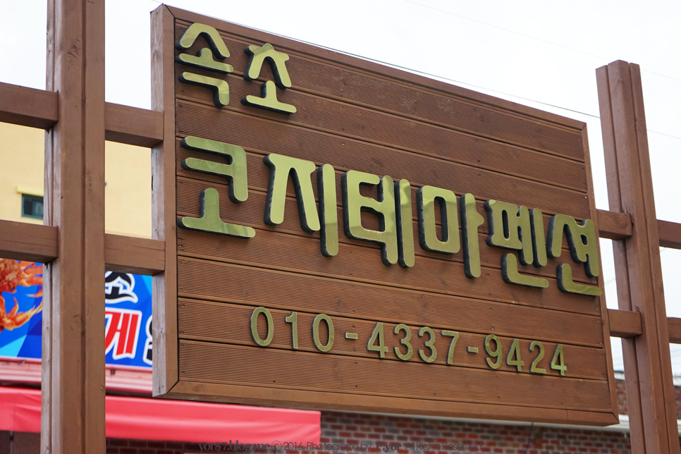 속초코지테마펜션 이미지