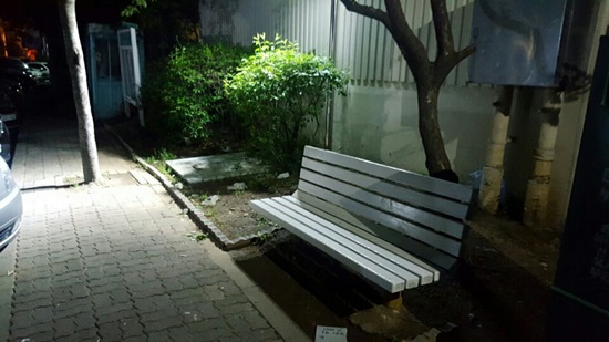 승일카 이미지