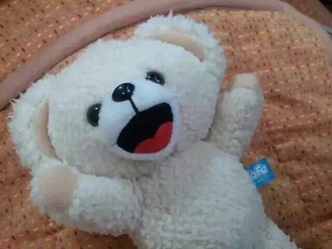 쿠마 이미지