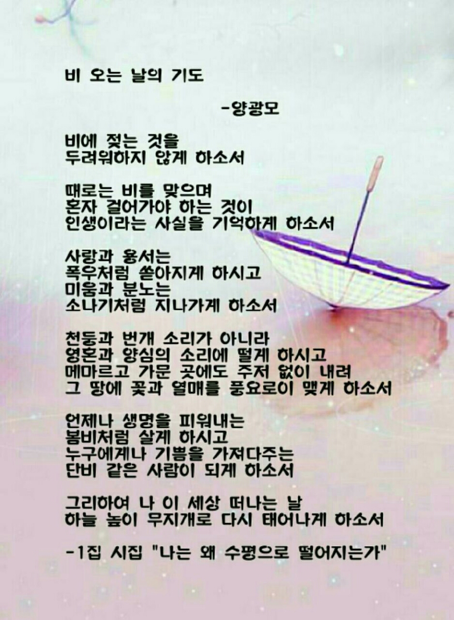 한국인성평생교육원 이미지