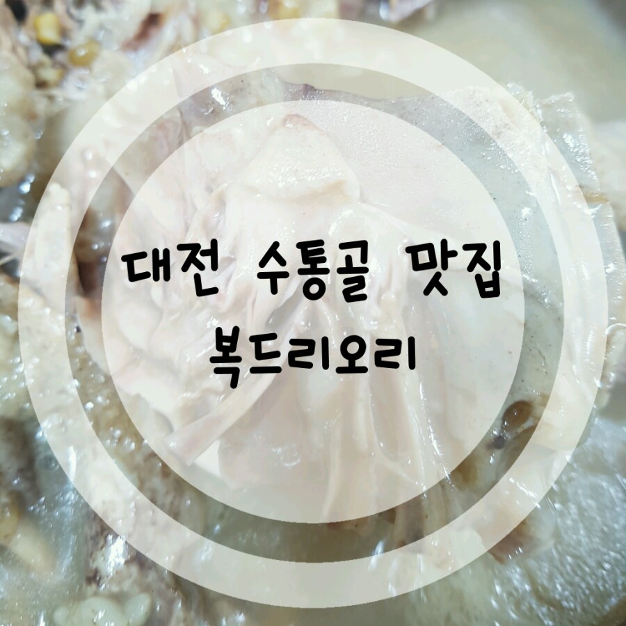 복드리오리 이미지