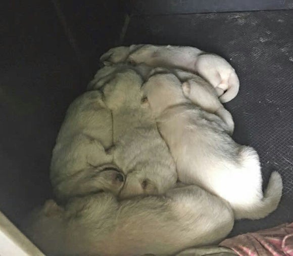 운주사주유소 이미지