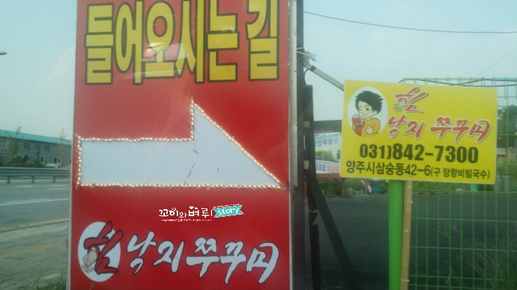 힘낙지쭈꾸미 이미지