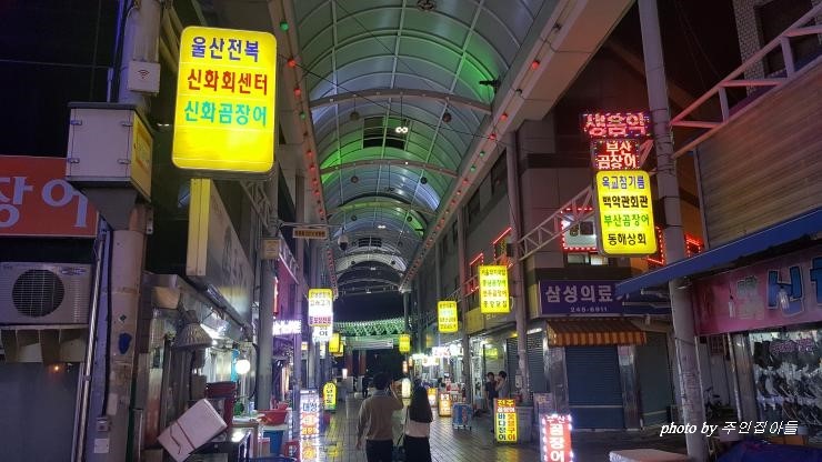 신화곰장어 이미지