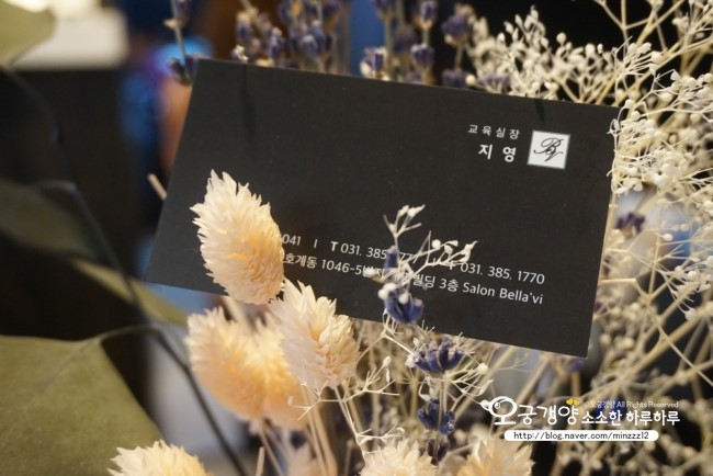 셀라비살롱 이미지