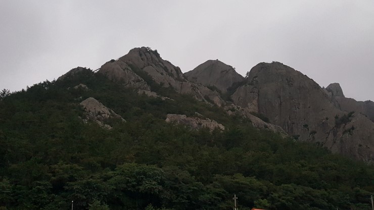 동성산전 이미지