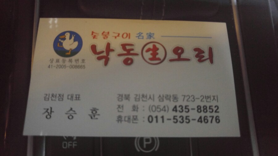낙동생오리 이미지