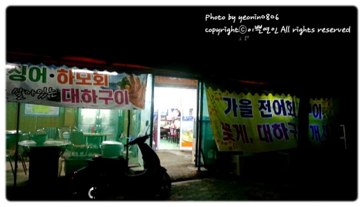 오징어 와 친구들 이미지