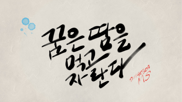 (주)모모 이미지
