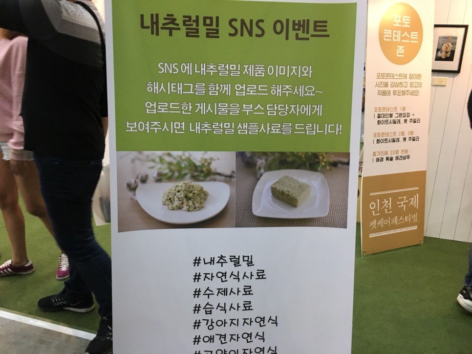 이현경애견미용학원 이미지