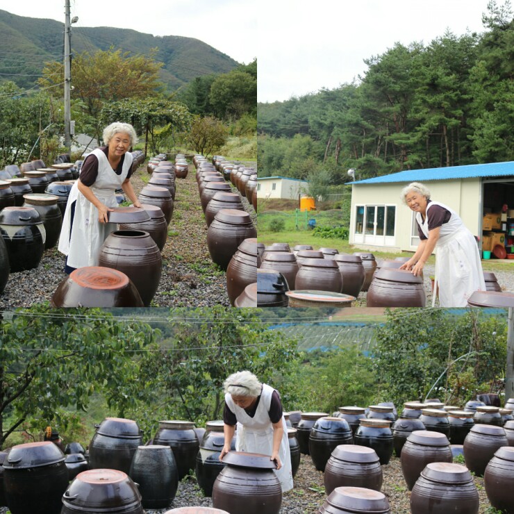 상옥 이미지