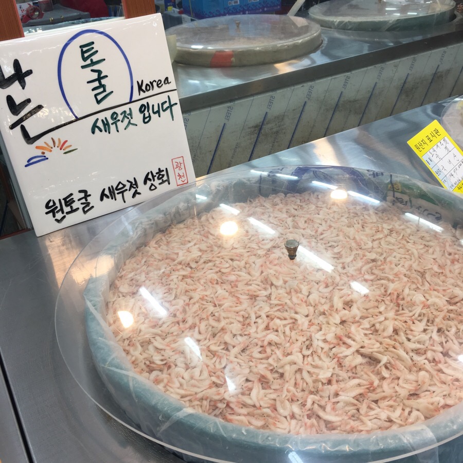 광천원토굴새우젓 이미지