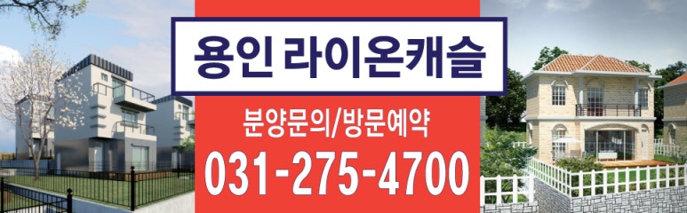 라이온캐슬 이미지