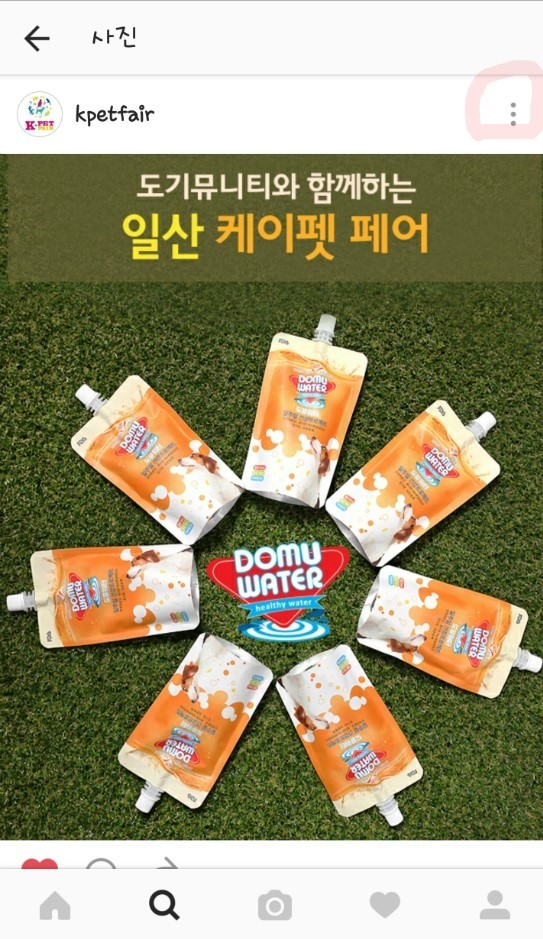 동그라미펫 이미지