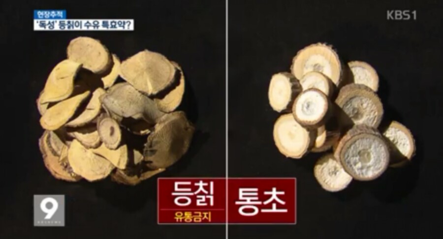 등초식품 이미지