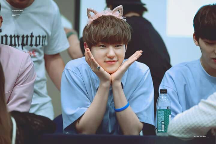 여우아이 이미지