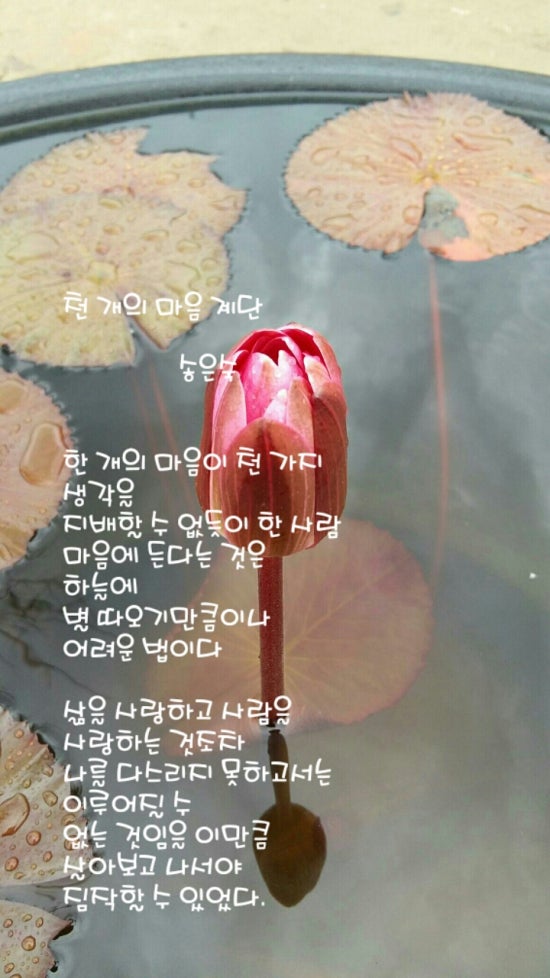 천계단 이미지