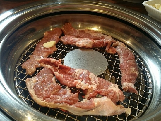 송도갈매기 이미지