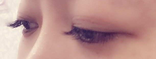 더아미샵 이미지