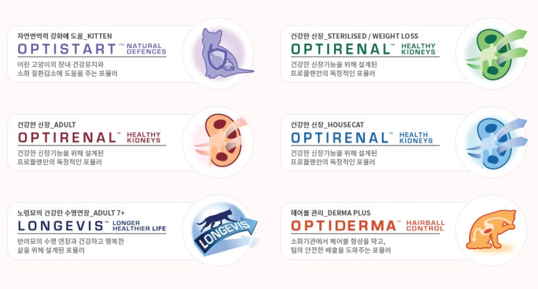 랜플랜 이미지