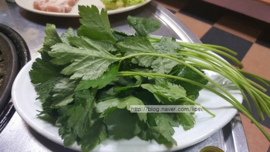 고산생고기 이미지