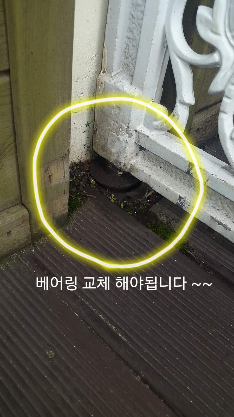 세아어린이집 이미지