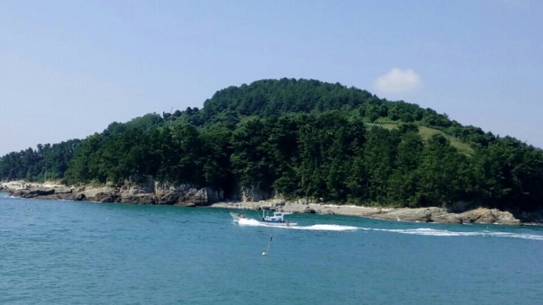 금강주 이미지