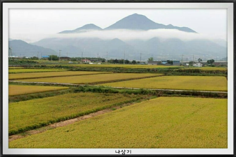 금강주 이미지