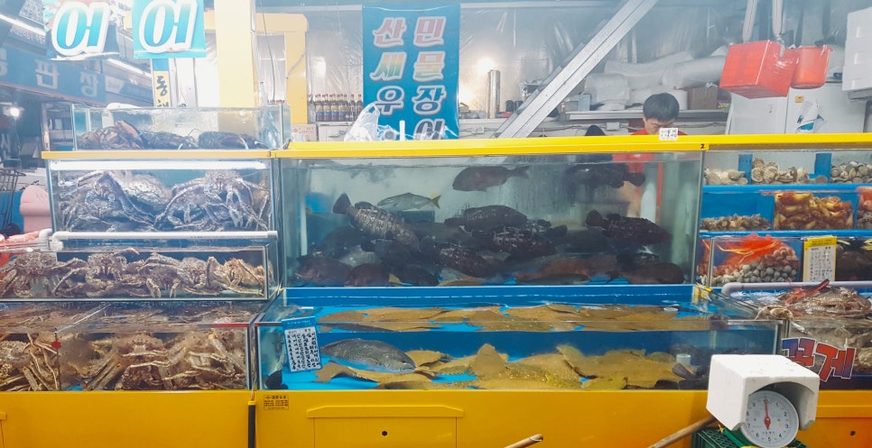 디자인오리엔티드 이미지