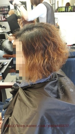 엘로이헤어 이미지