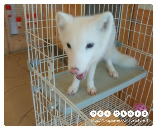 크롱크롱스토어 이미지