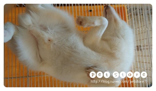 크롱크롱스토어 이미지