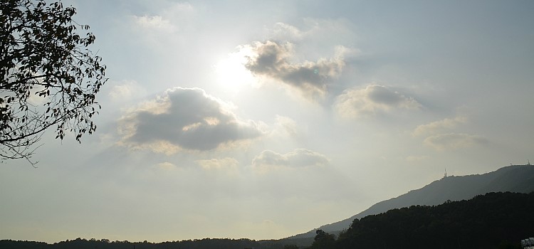 갤러리구운 이미지