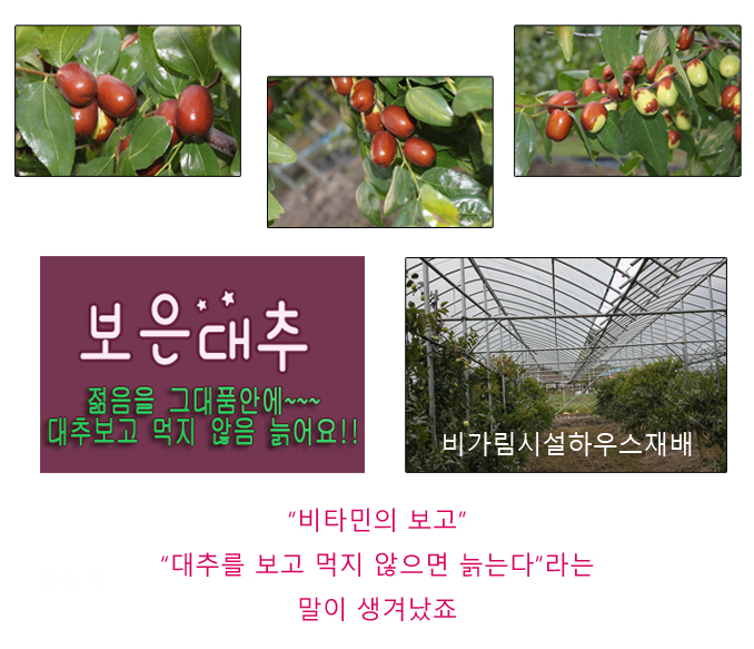 형근농원 이미지