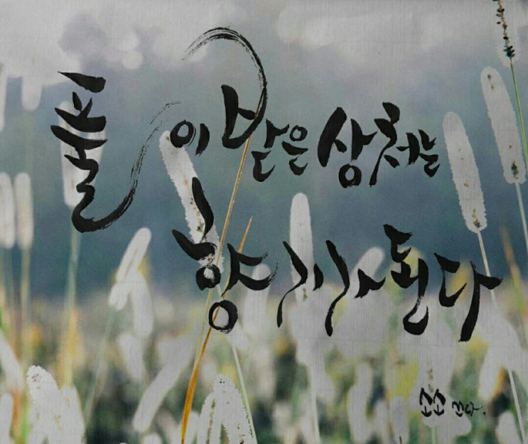 소소한향기 이미지