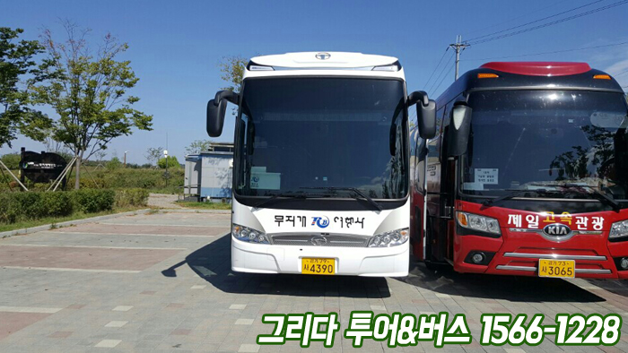 그리다투어&버스 이미지