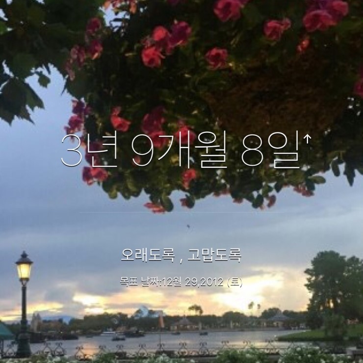 대민렌터카 이미지