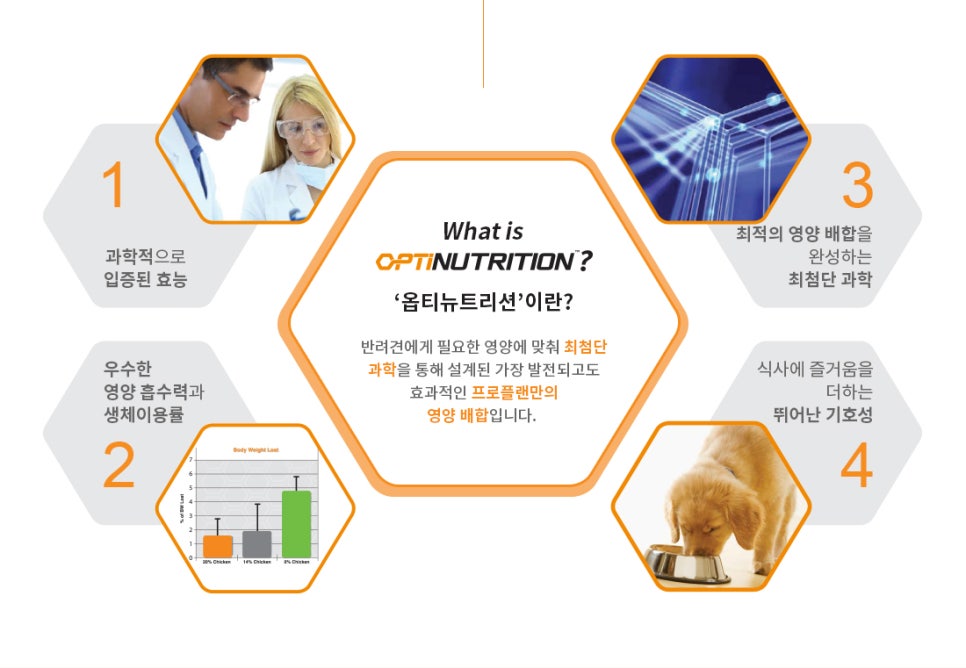 플랜.지 이미지