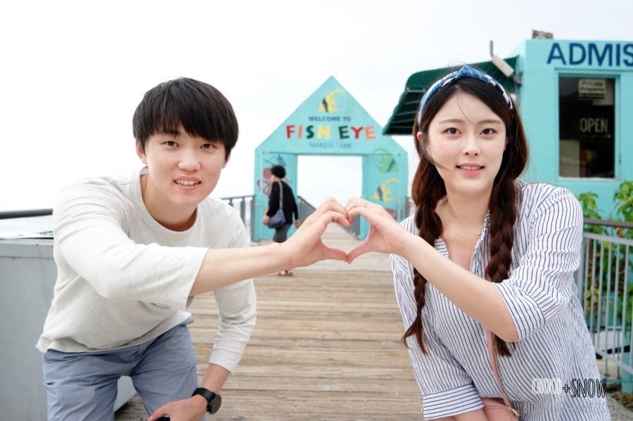 세티 이미지