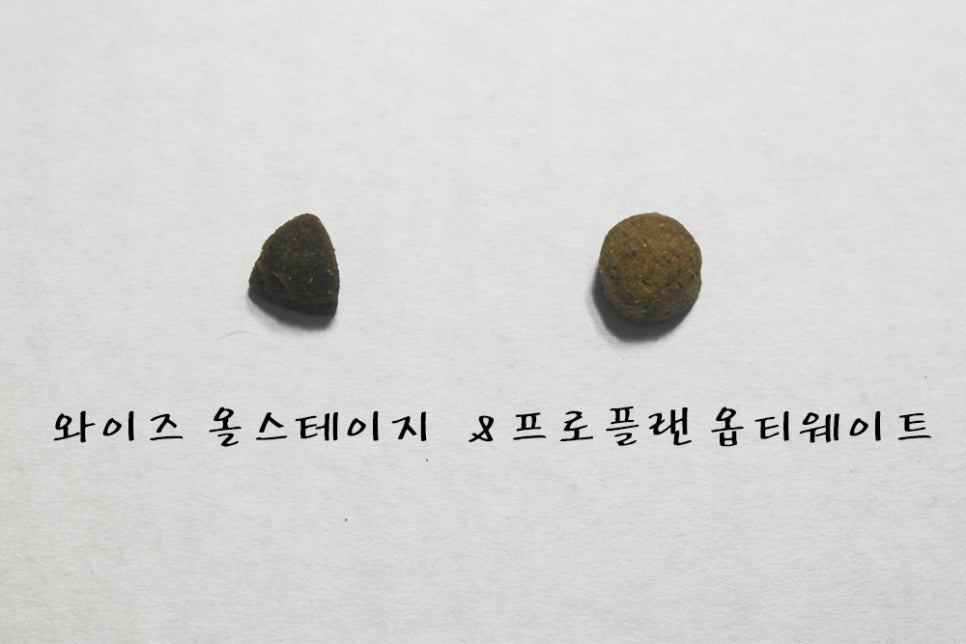 보리맘 이미지