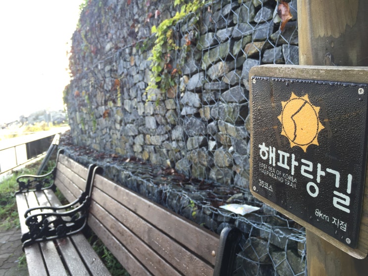 대우칼국수 이미지