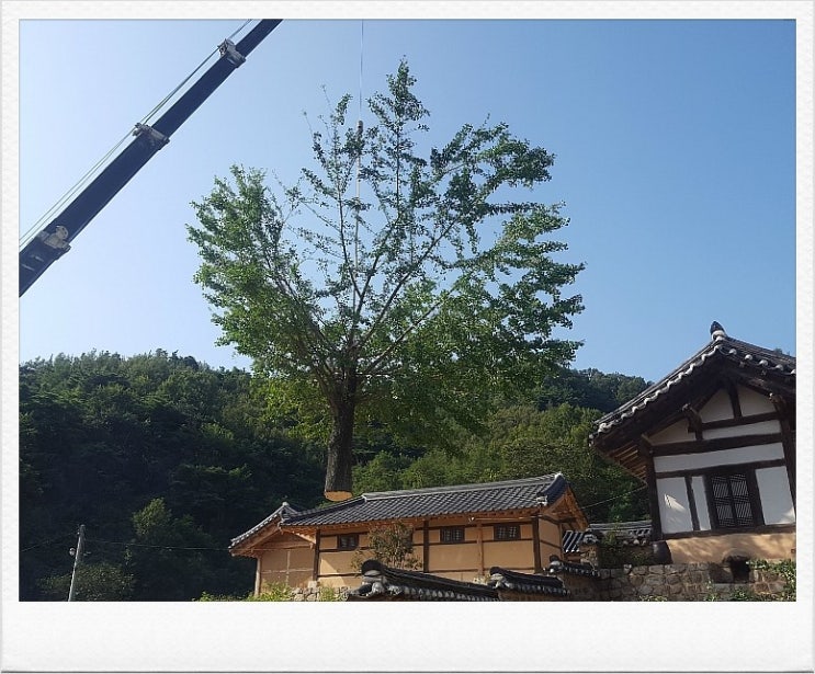 효림묘원 이미지