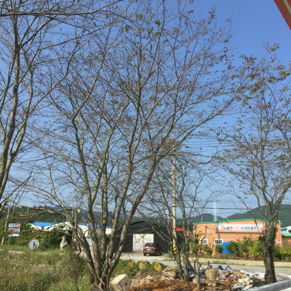오성공업사 이미지